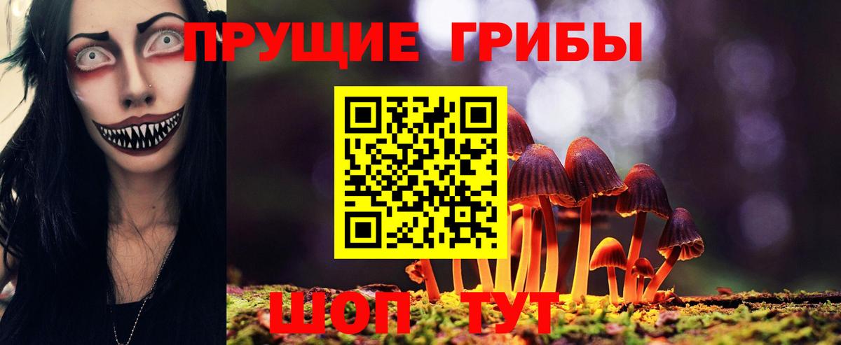 Галлюциногенные грибы прущие грибы Шали