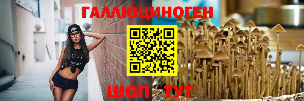 Галлюциногенные грибы мицелий  Вход с VPN  Галлюциногенные грибы прущие грибы  Шали 